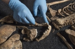考古学家声称发现疑似中国人的骸骨。 - News.Sina.com.Cn