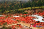 甘孜最美公路交通管制 红石公园和雅家情海景区暂时无法游玩 - 旅游政务网