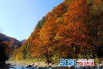 巴中光雾山在广安推荐旅游 广安走高速两小时到达 - Sichuan.Scol.Com.Cn