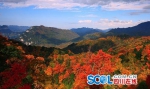 巴中光雾山在广安推荐旅游 广安走高速两小时到达 - Sichuan.Scol.Com.Cn