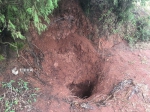 埋女童的坑，深约半米。 - News.Sina.com.Cn