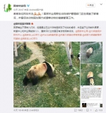 兰州动物园被曝虐待熊猫 林业局回应 - News.Sina.com.Cn