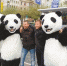 “熊猫快铁”亮相法兰克福书展 当地市民:想去熊猫故乡 - 旅游政务网