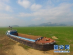 一艘大船搁浅在鄱阳湖庐山市区域（11月2日摄）。 新华社记者 胡晨欢摄 - News.Sina.com.Cn