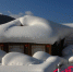 黑龙江省国有林区冰雪旅游推介会在蓉举行 - 旅游政务网