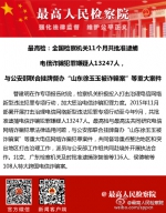 最高检：前11月共逮捕电信诈骗嫌疑人13247人 - News.Sina.com.Cn