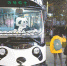 “熊猫巴士”带你逛景区 - 旅游政务网