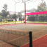 四川电大在全省高校教职工网球比赛中喜获佳绩 - 四川广播电视大学