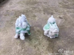 塑料龟被抹上东西竟卖上千元 绵阳南充好多人上当 - Sichuan.Scol.Com.Cn