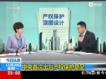 中央首次出台产权保护意见 - News.Sina.com.Cn