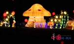 今年灯会出新招：蘑菇主题灯会吸睛力强 - 旅游政务网