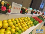 海南澄迈组团到成都推介“旅游+” 签订产值6.69亿元果菜销售协议 - 旅游政务网