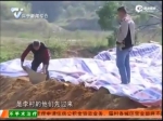 上百年祖坟遭推土机一夜铲平 - News.Sina.com.Cn