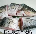 带错鱼孩子刷爆网络 父亲：鲤鱼不好吃就给他玩 - News.Sina.com.Cn