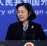 外交部发言人 华春莹 - News.Sina.com.Cn