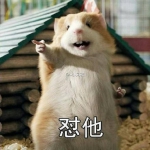 老鼠存一年花生被车主发现并没收 网友神回复 - News.Sina.com.Cn