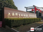 上海涉事动物园:10年死5只熊猫是数量概率问题 - News.Sina.com.Cn