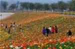 花舞人间景观升级 春节赏花正当时 - Sichuan.Scol.Com.Cn