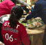 张雪和叶坤一家人在准备年夜饭，这是他们领证后的第一个春节。新京报记者李圣洁摄 - News.Sina.com.Cn