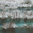 九寨沟迎小雪 树木披上冰花如同淡彩水墨画 - 旅游政务网