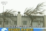 新疆的风有多大？看看这两个画面就知道了(图) - News.Sina.com.Cn