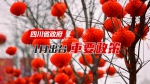 四川省政府1月出台重要政策 - 中小企业局