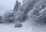 峨眉山一半阴雨一半晴 游客收获意外惊喜 - 旅游政务网