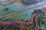 成都锦江白鹭湾湿地获评国家城市湿地公园 - 旅游政务网