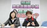 潘维刚（左）和洪秀柱 - News.Sina.com.Cn