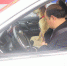 李师傅一家外出将狗放在副驾驶座上。 - News.Sina.com.Cn