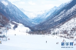 鹧鸪山自然公园：四川又一“雪景”观赏地 - 旅游政务网