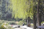 成都3月1日正式进入春天 气象预测今春将呈现暖春趋势 - Sichuan.Scol.Com.Cn
