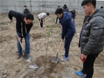 学院师生植树活动受到乐山市伍定副市长称赞 - 成都理工大学工程技术学院