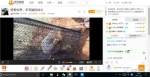 竹鼠被关入笼中 - News.Sina.com.Cn