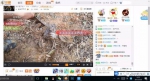 猎夹下的野鸟残骸 - News.Sina.com.Cn
