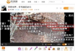 有观众喊话主播挖洞加把劲儿 - News.Sina.com.Cn