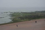老人的遗体在海边被发现。 - News.Sina.com.Cn