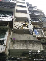 共享单车挂在高压电缆上。 - News.Sina.com.Cn