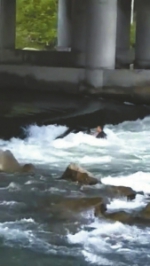 骑摩托艇酿悲剧 一人落水一人救 两人被冲走 - 四川日报网