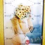 拿到手的艺术照上打满了网状细线和工作室的标徽（为保护当事人隐私，脸部已做模糊处理） - News.Sina.com.Cn