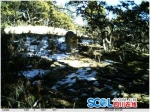 首次！雅江同一区域 10余种珍稀野生动物密集上镜 - Sichuan.Scol.Com.Cn