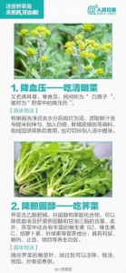 女子吃2盘野菜后去踏青 第二天脸肿成“猪头” - News.Sina.com.Cn