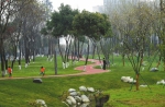 三环扩能提升工程月内完成 “环城大公园”将开放 - 四川日报网