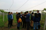 国际猕猴桃品种测试中心项目落户四川 - 科技厅