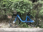 校园评论：共享单车与校园文明 - 四川师范大学