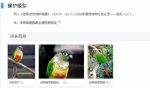 小太阳鹦鹉（学名绿颊锥尾鹦鹉） 图据百度百科 - News.Sina.com.Cn