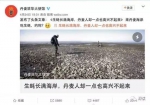 又有华人去挖丹麦生蚝：吃下去有大海的味道 - News.Sina.com.Cn