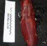 这是5月23日拍摄的“蛟龙”号在马里亚纳海沟带回的生物样品海参。新华社发（郭松峤 摄） - News.Sina.com.Cn