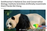 旅美大熊猫遭虐待?中国大熊猫保护研究中心辟谣 - News.Sina.com.Cn