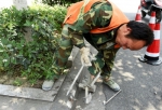 成都启动全城拔钉行动 1342颗坑人路钉被清理 - Sichuan.Scol.Com.Cn
